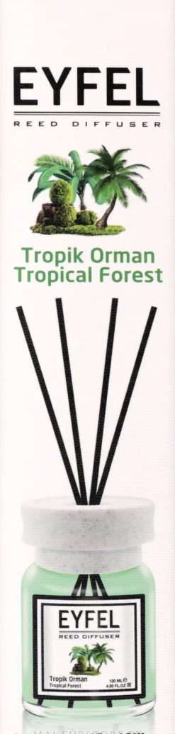 Raumerfrischer Tropic Forest