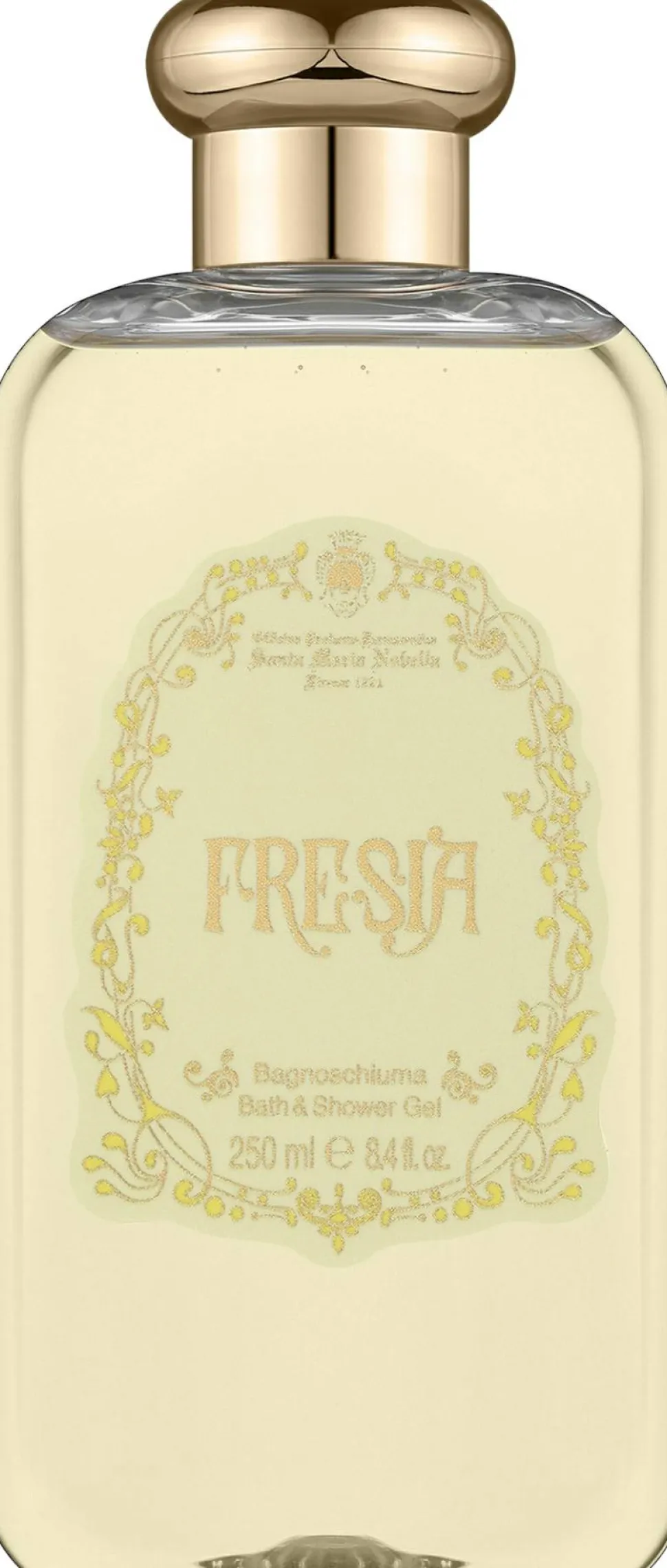 Santa Maria Novella Fresia
