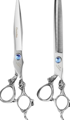 Set, silberne Schere mit blauem Stein