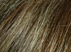 Shampoo für Haare, Bart und Schnurrbart ohne Ammoniak oder Parabene