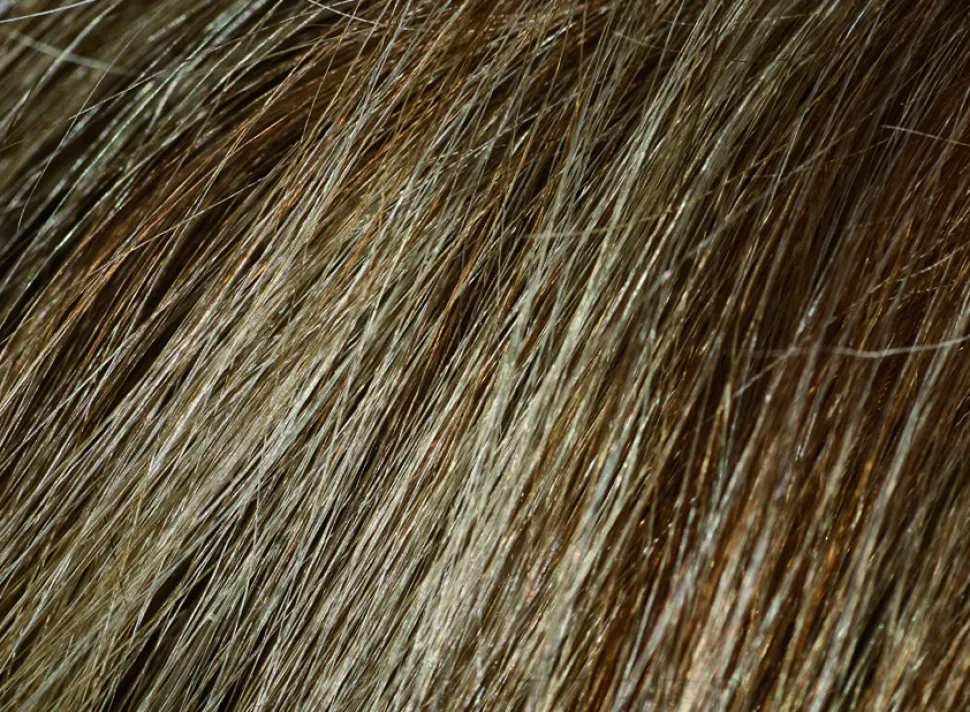 Shampoo für Haare, Bart und Schnurrbart ohne Ammoniak oder Parabene