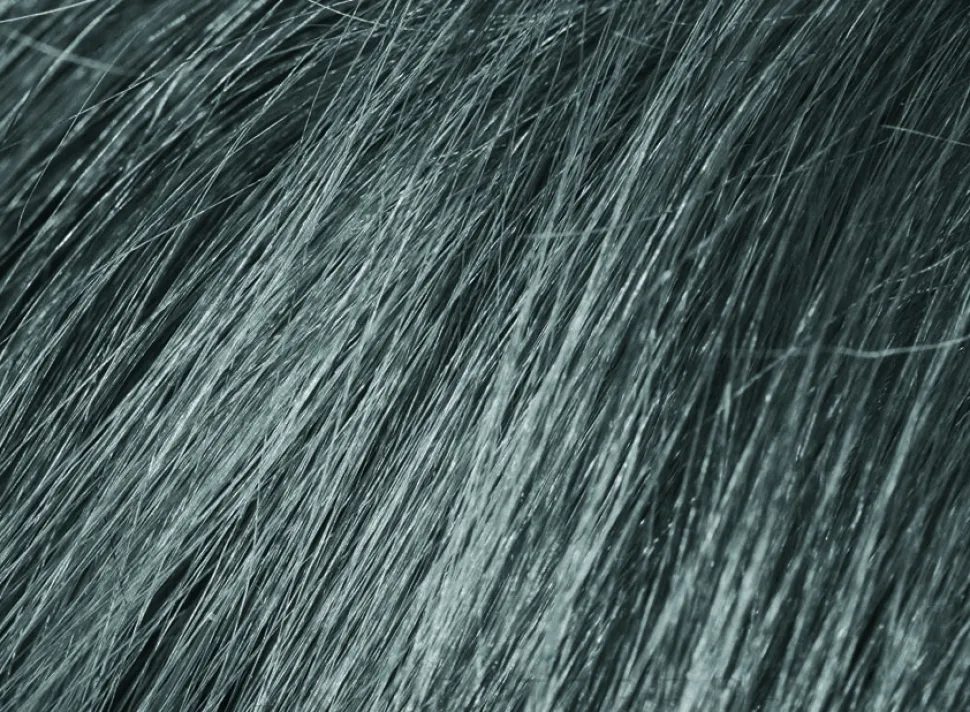Shampoo für Haare, Bart und Schnurrbart ohne Ammoniak oder Parabene