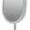 Spiegel mit LED-Lampe 498579 weiß