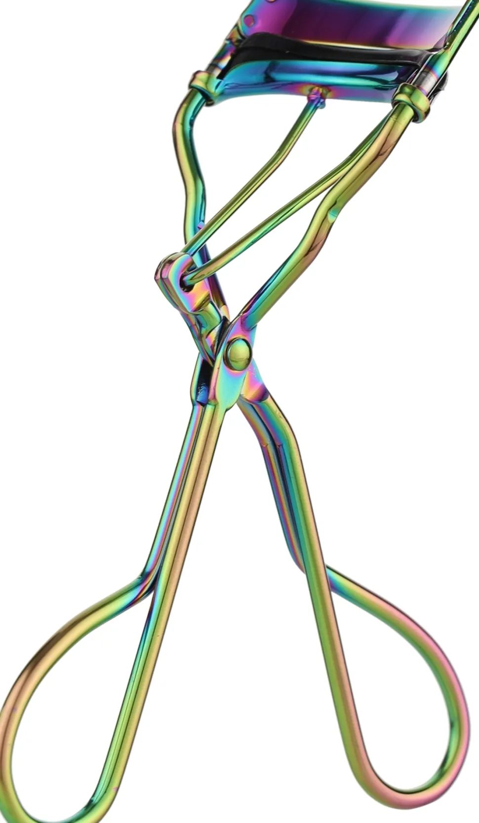 Wimpernzange Regenbogen