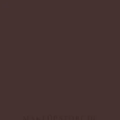 Yves Saint Laurent Tatouage Couture Matte Stain Fall